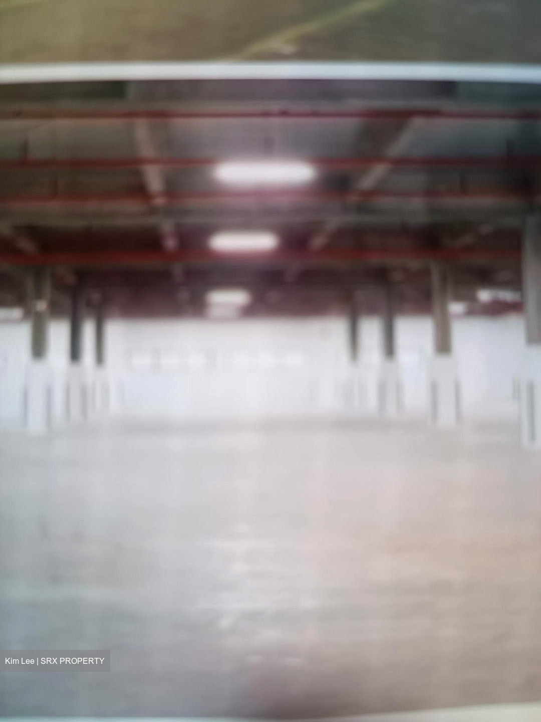 Waddington Womens Works Release Camp (D17), Factory #555421011
